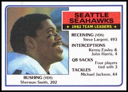 383 Seattle Seahawks TL